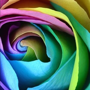 Meet your Posher, Hazel